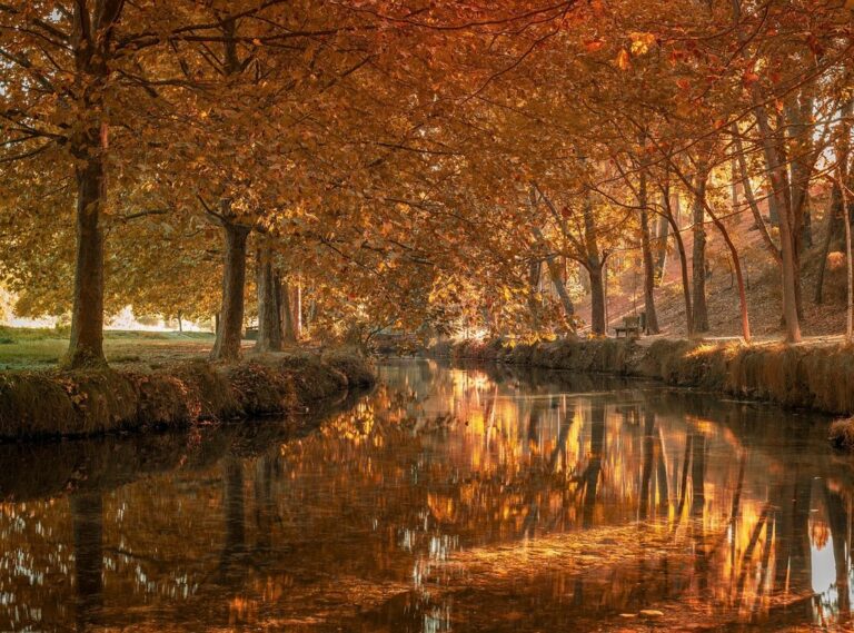 chistosas memes de lluvia