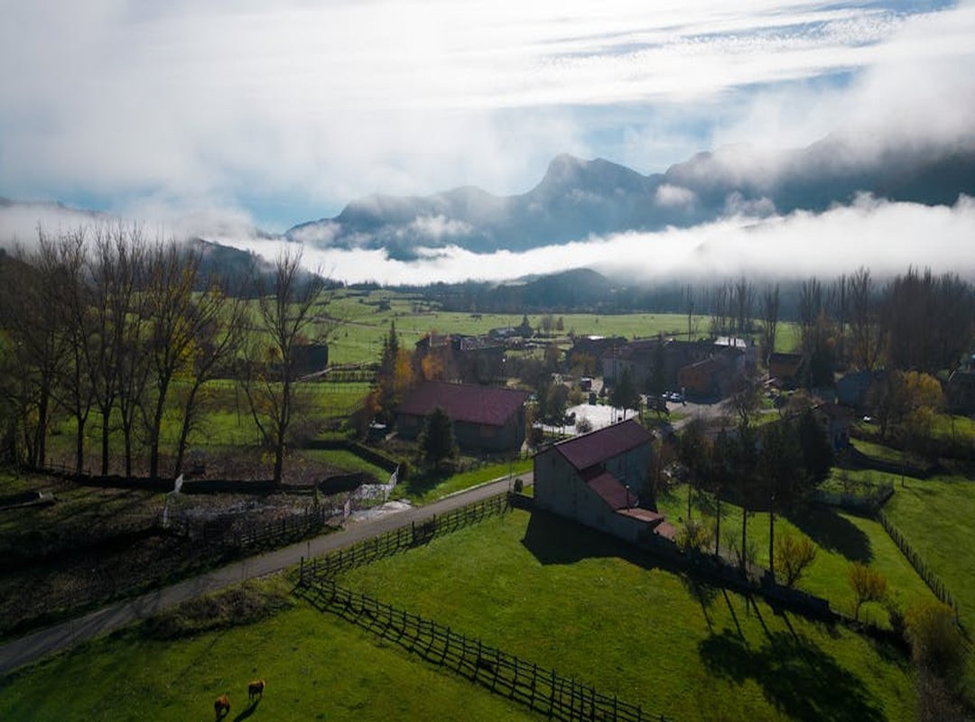 Proceso y Consideraciones Antes de Tatuarse