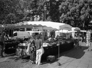 guy pearce married madonna