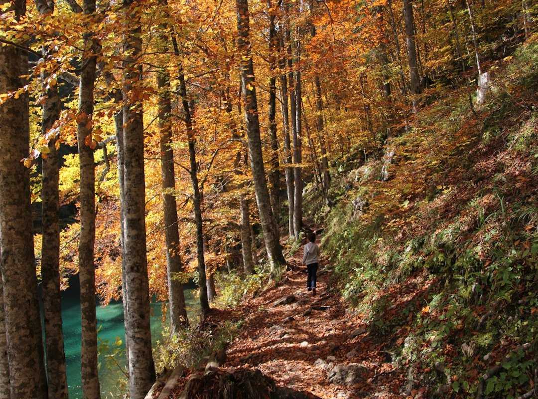 maximize trekking experience