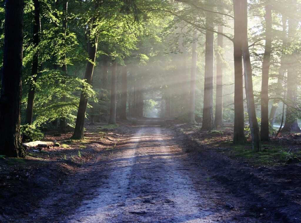 navigate trails without GPS