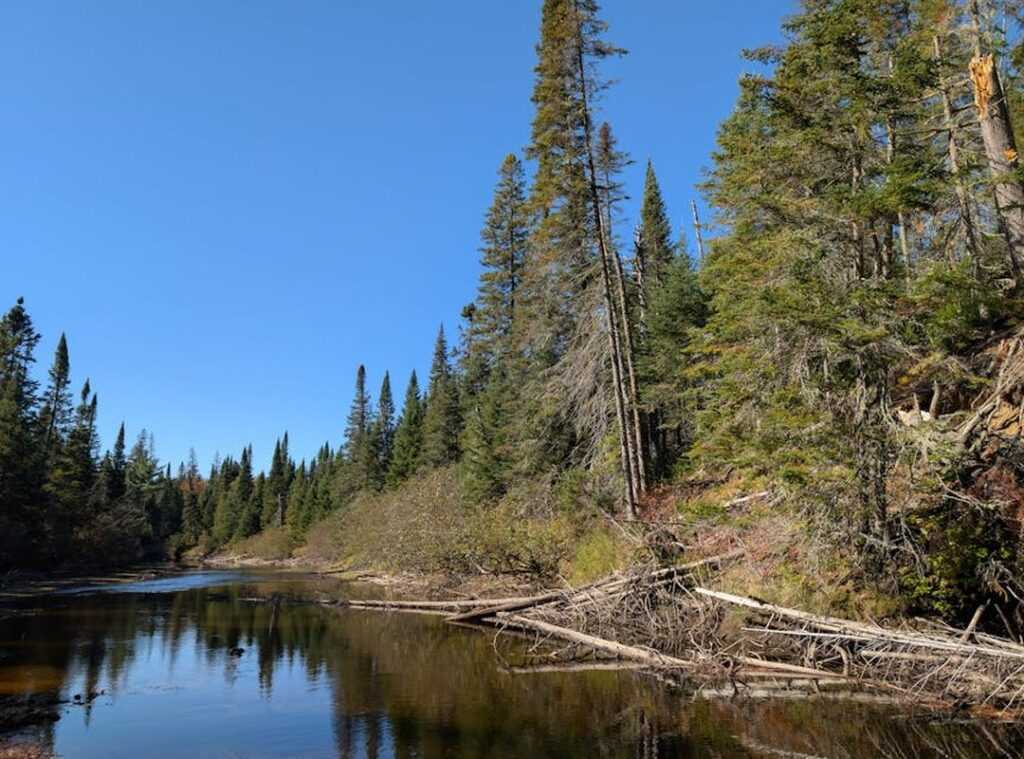 wilderness areas 2024