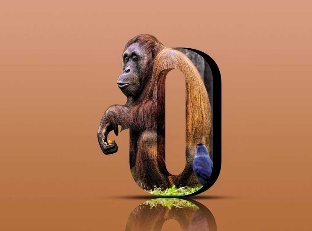 wildlife habitats guide